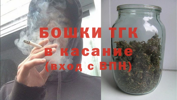 PSILOCYBIN Горняк