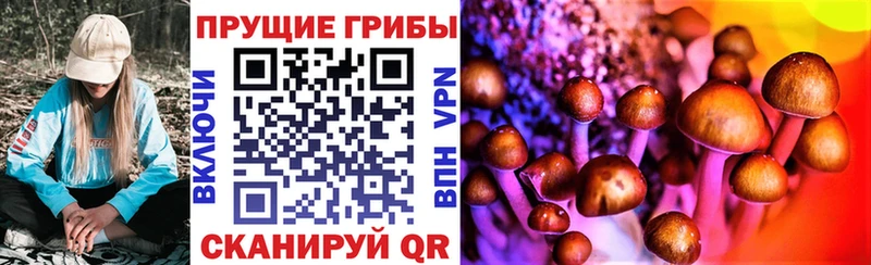 Галлюциногенные грибы мухоморы Купить Кашира
